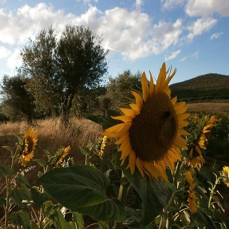 I Casali Di Colle San Paolo Villa Tavernelle  Luaran gambar