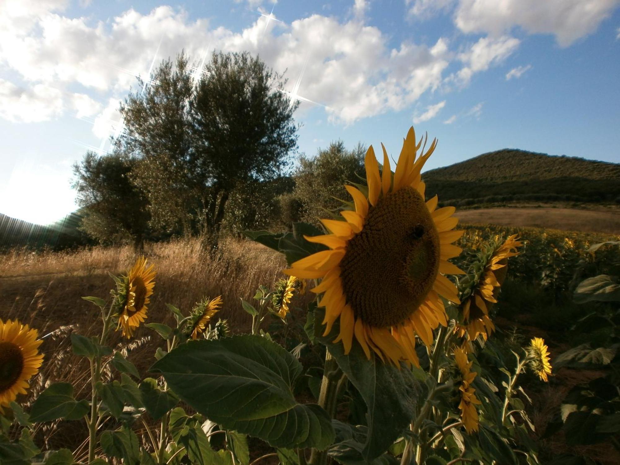 I Casali Di Colle San Paolo Villa Tavernelle  Luaran gambar