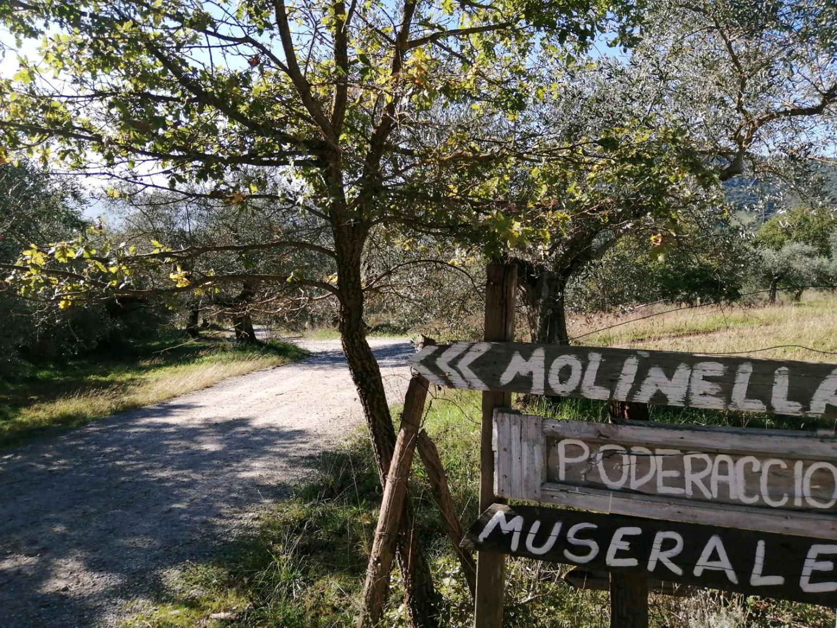 I Casali Di Colle San Paolo Villa Tavernelle  Luaran gambar