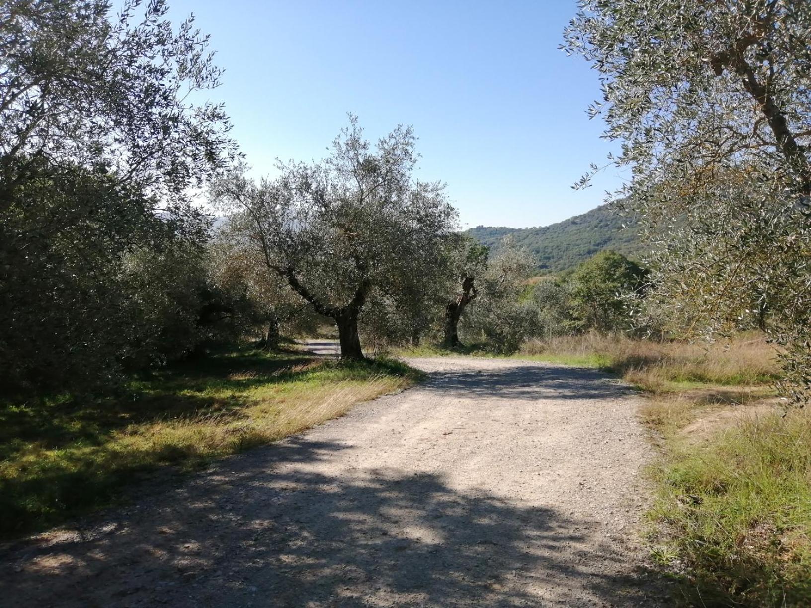 I Casali Di Colle San Paolo Villa Tavernelle  Luaran gambar