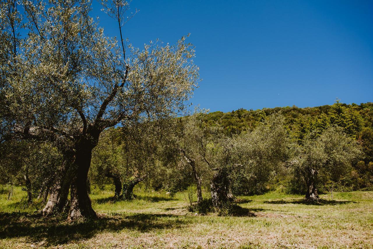 I Casali Di Colle San Paolo Villa Tavernelle  Luaran gambar